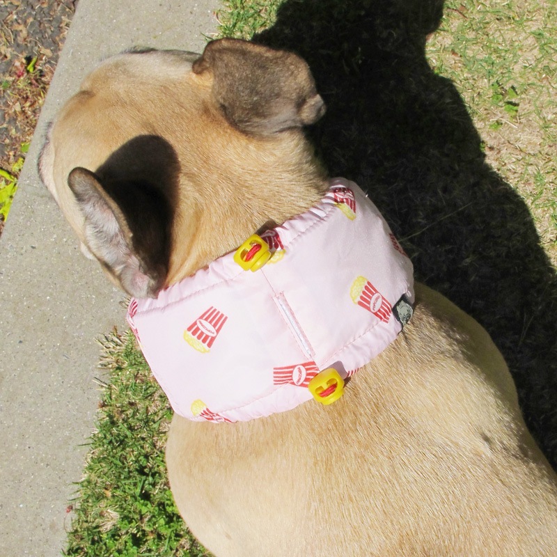 �����륹�̡��ɡʥݥåץ�����ˡ�2�Ĥޤǥ᡼���زġ�