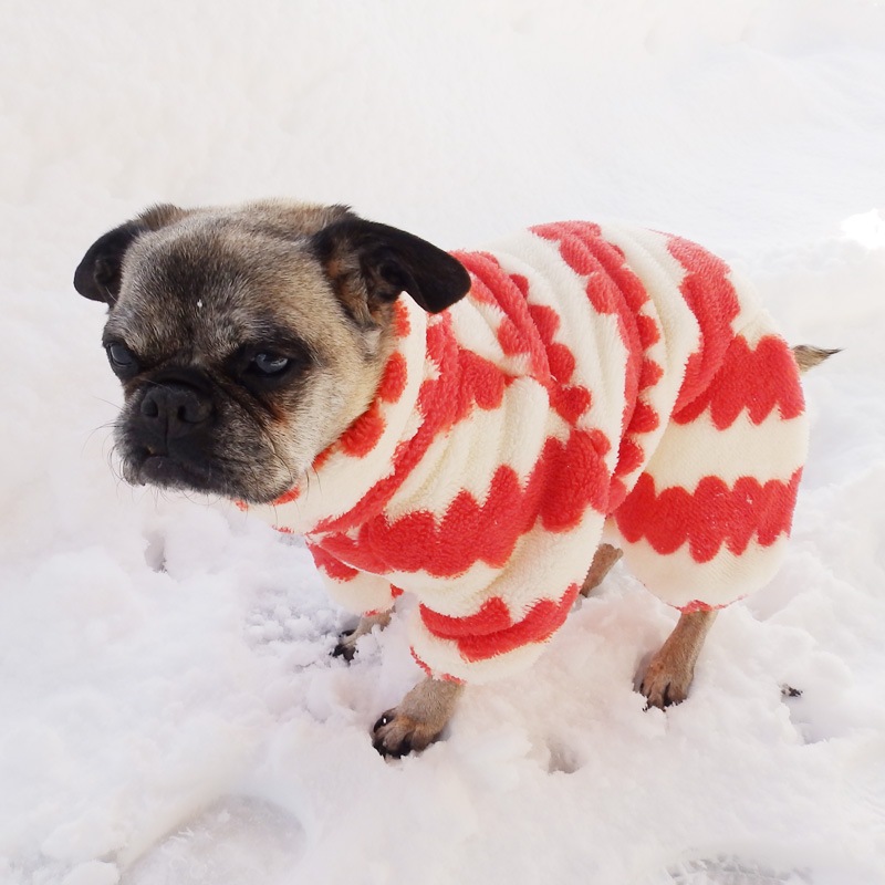 ������ۤĤʤ��ʥ��եۥ磻�ȡߥ�åɡˡڥ᡼�����Բġ�