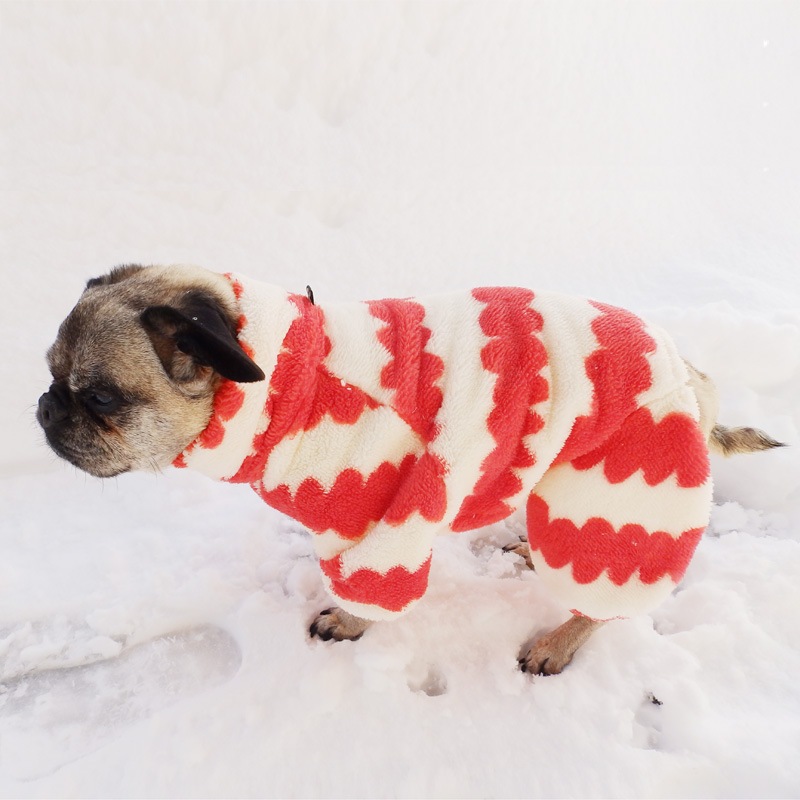 ������ۤĤʤ��ʥ��եۥ磻�ȡߥ�åɡˡڥ᡼�����Բġ�