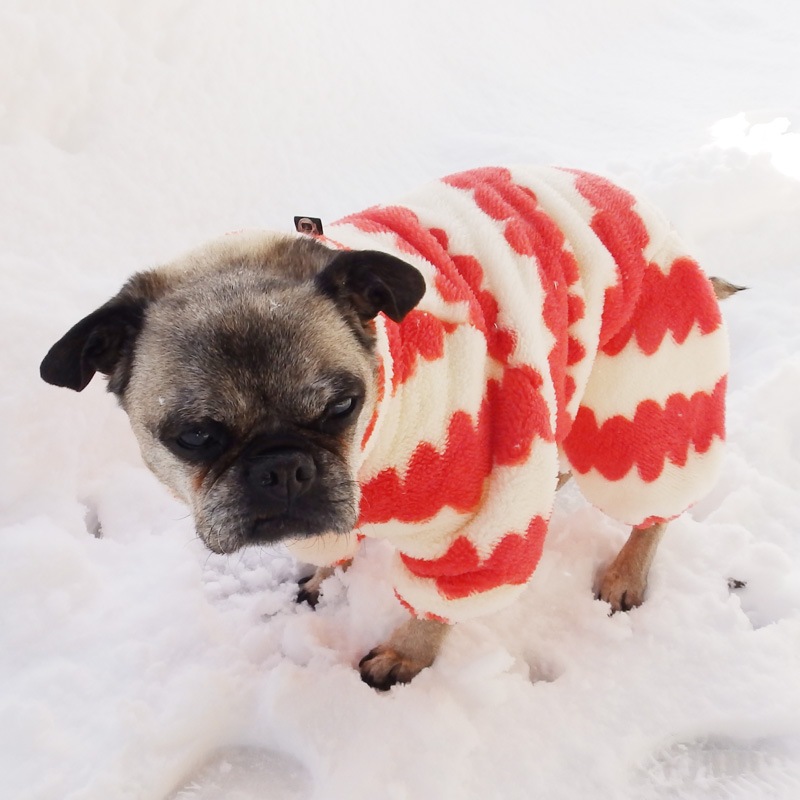 ������ۤĤʤ��ʥ��եۥ磻�ȡߥ�åɡˡڥ᡼�����Բġ�