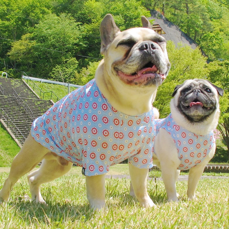 ۥ󥵥TġT2or󥯥ȥå1T1ϥ᡼زġ