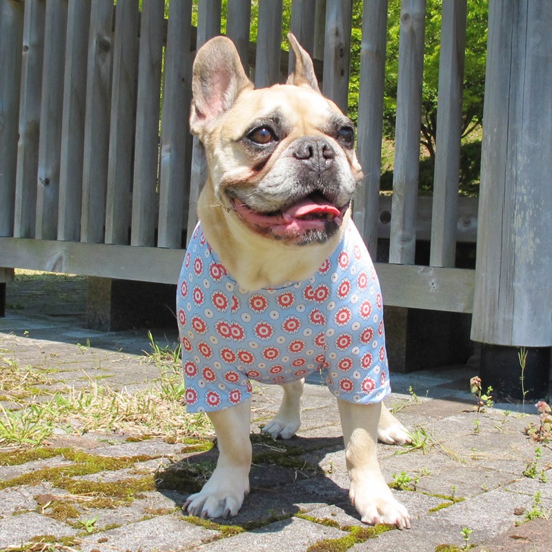 ۥ󥵥TġT2or󥯥ȥå1T1ϥ᡼زġ