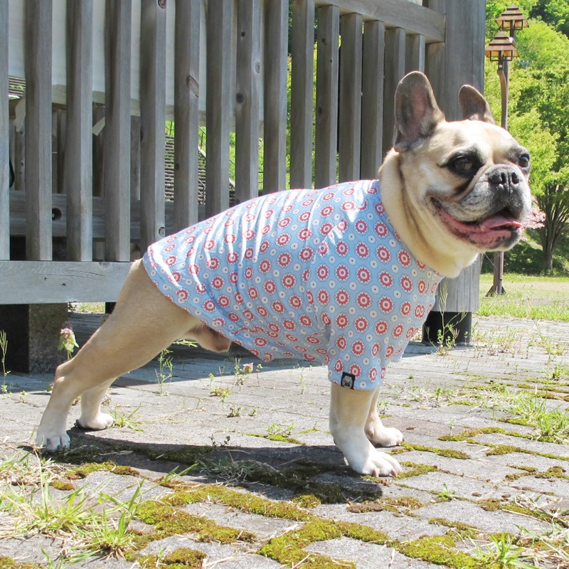 ۥ󥵥TġT2or󥯥ȥå1T1ϥ᡼زġ