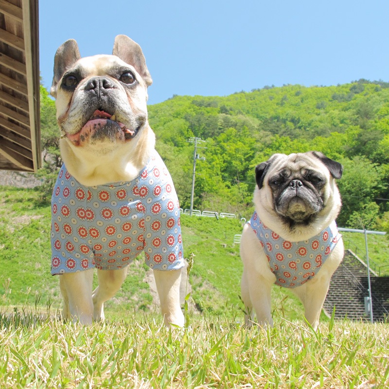 ۥ󥵥TġT2or󥯥ȥå1T1ϥ᡼زġ