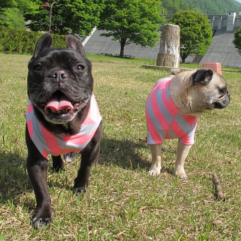 �Ф�ܡ��������󥯥ȥåס�T�����2��or���󥯥ȥå�1���T�����1��ϥ᡼���زġ�