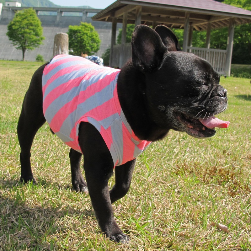 �Ф�ܡ��������󥯥ȥåס�T�����2��or���󥯥ȥå�1���T�����1��ϥ᡼���زġ�