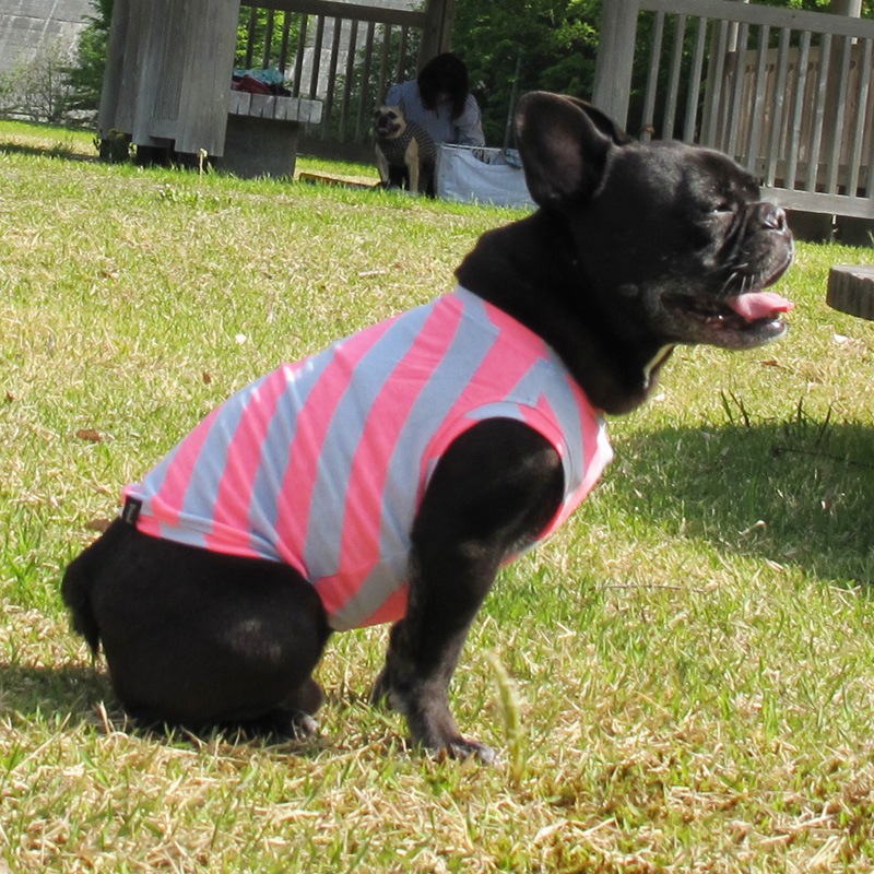 �Ф�ܡ��������󥯥ȥåס�T�����2��or���󥯥ȥå�1���T�����1��ϥ᡼���زġ�