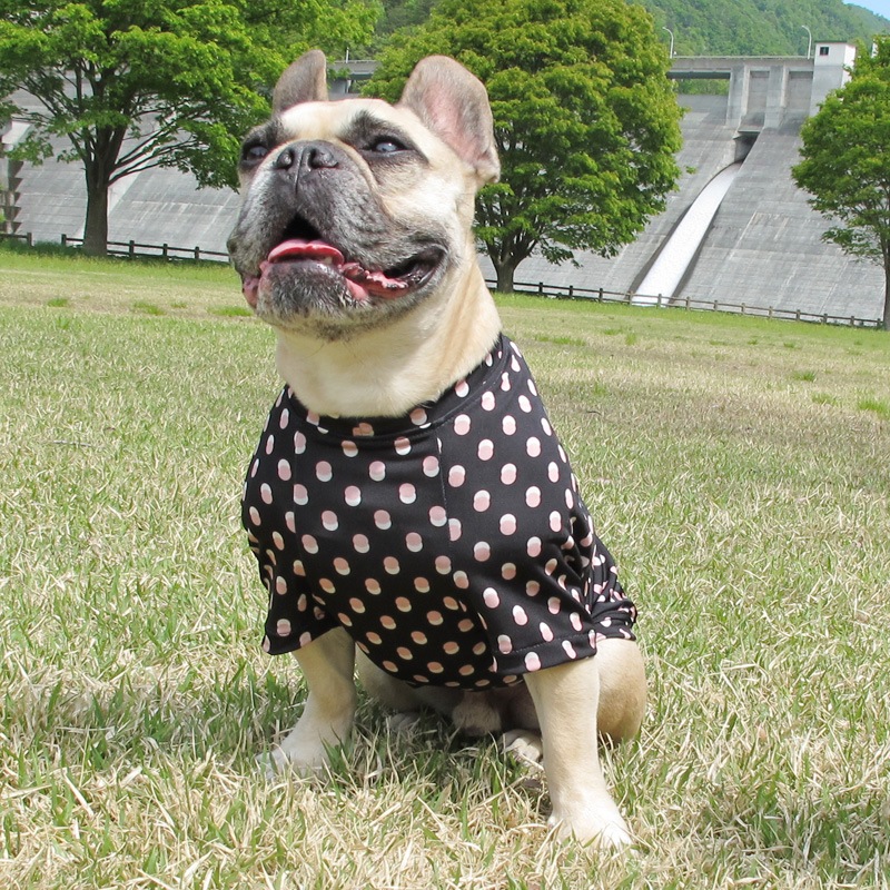 ���֥�ɥå�T����ġ�T�����2��or���󥯥ȥå�1���T�����1��ϥ᡼���زġ�