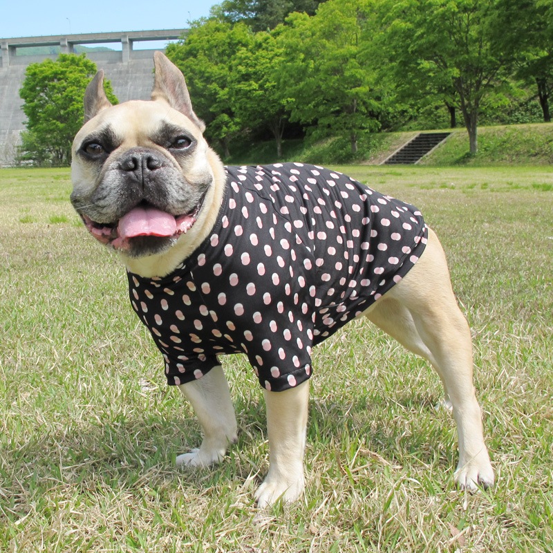 ���֥�ɥå�T����ġ�T�����2��or���󥯥ȥå�1���T�����1��ϥ᡼���زġ�