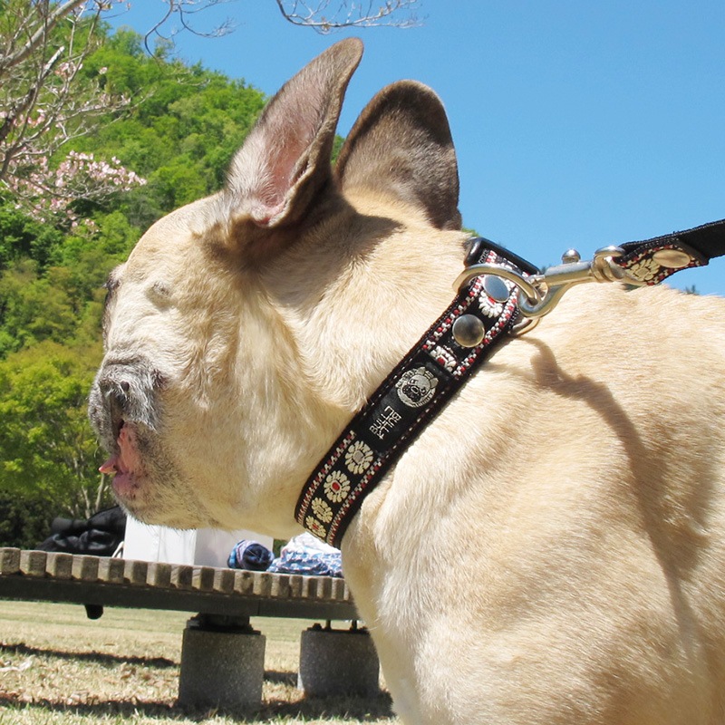 㥫ɥܥ/ءñʥ᡼ز/꡼ɤȤΥ᡼Ʊġ