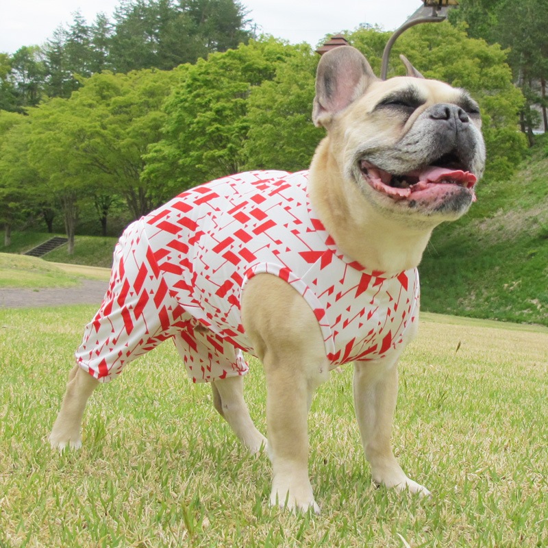 �˥åݥ����������ƤĤʤ��ڲƤĤʤ�2��or�ƤĤʤ�1���T�����(����)1��ϥ᡼���زġ�