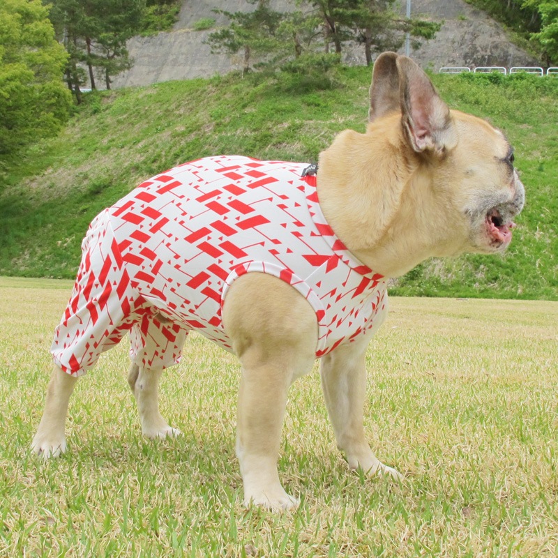 �˥åݥ����������ƤĤʤ��ڲƤĤʤ�2��or�ƤĤʤ�1���T�����(����)1��ϥ᡼���زġ�