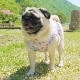 ���ۥ��󥵥󥿥󥯥ȥåס�T�����2��or���󥯥ȥå�1���T�����1��ϥ᡼���زġ�
