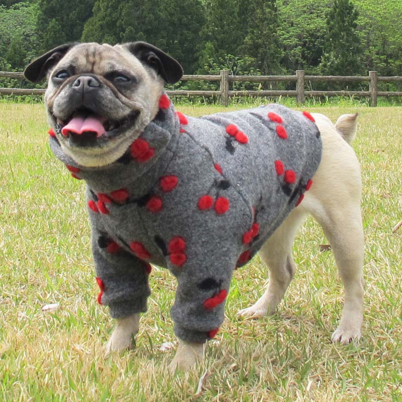 �����꡼���̥��������ڰ���Τߥ᡼���زġ�