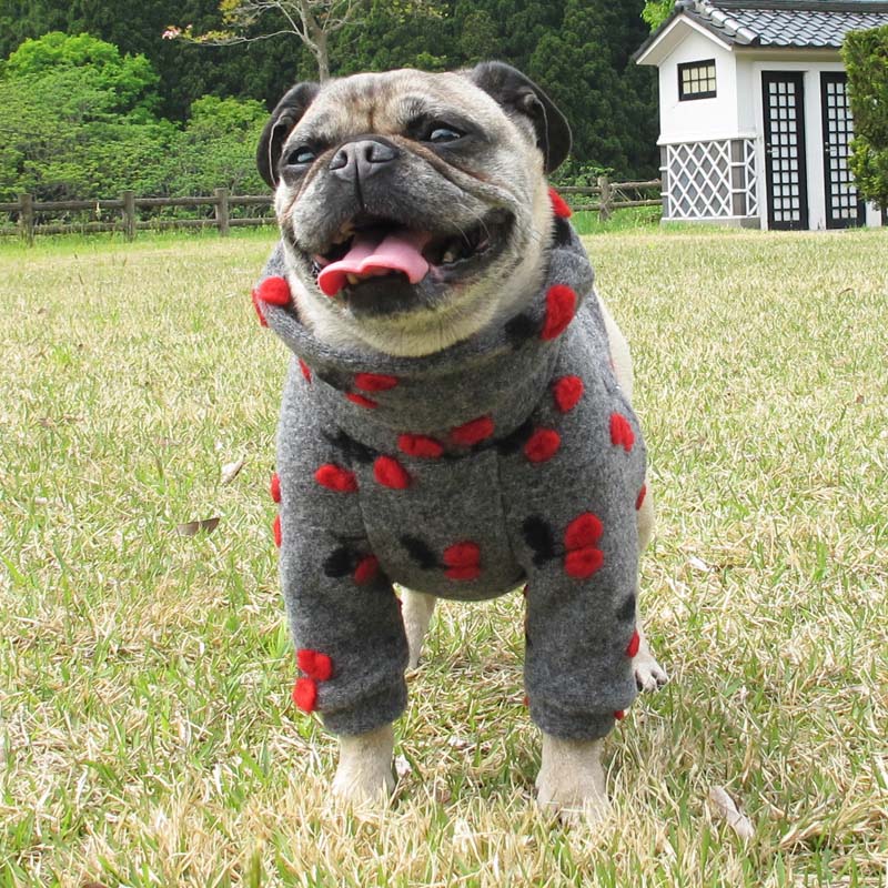 �����꡼���̥��������ڰ���Τߥ᡼���زġ�