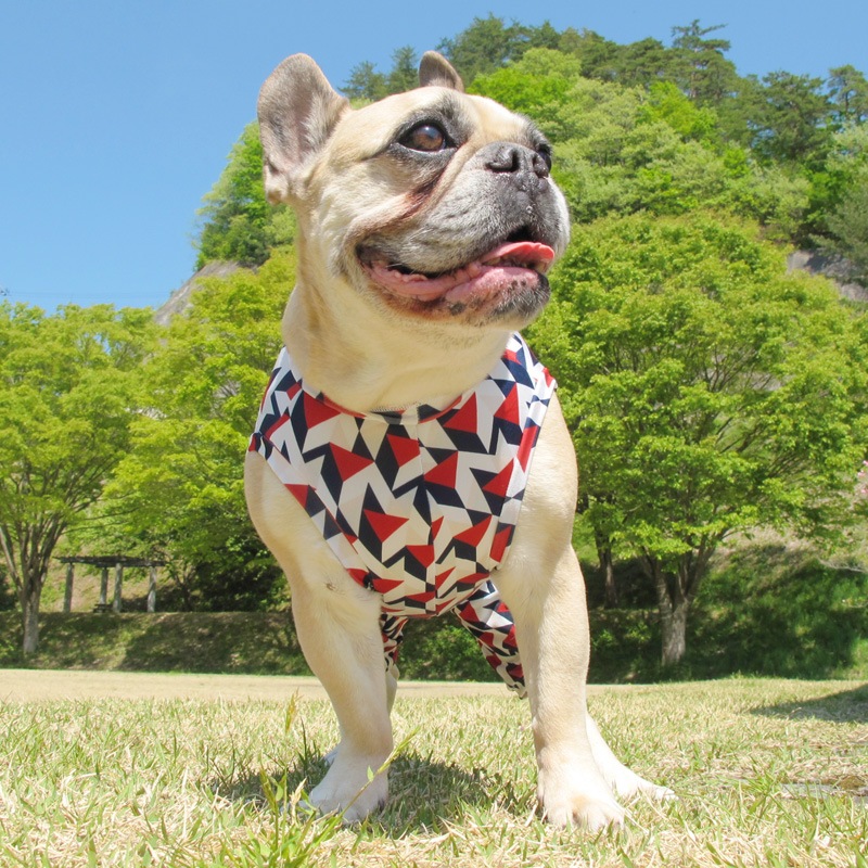 ȥåץȲƤĤʤڲƤĤʤ2orƤĤʤ1T()1ϥ᡼زġ