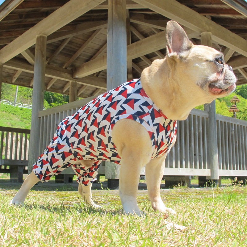 ȥåץȲƤĤʤڲƤĤʤ2orƤĤʤ1T()1ϥ᡼زġ