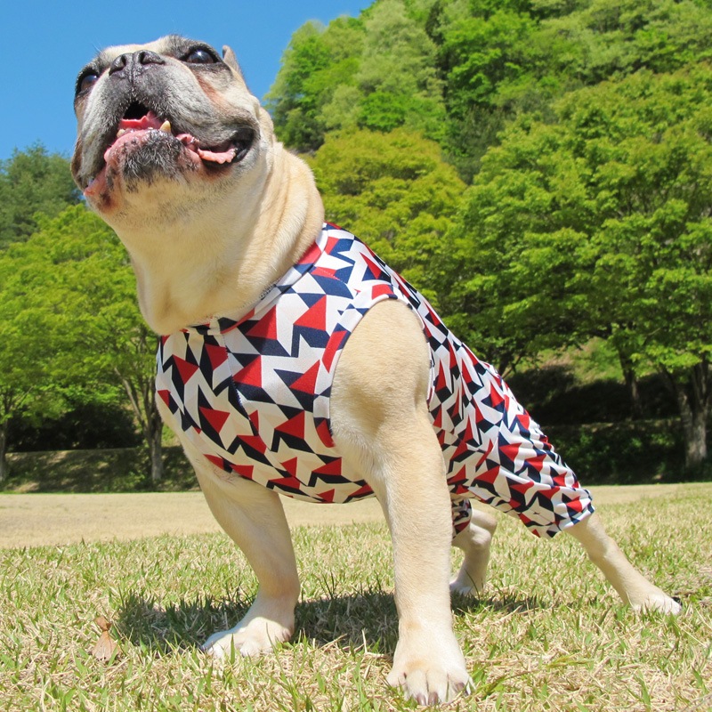 ȥåץȲƤĤʤڲƤĤʤ2orƤĤʤ1T()1ϥ᡼زġ