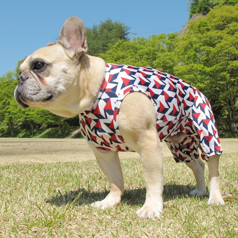 ȥåץȲƤĤʤڲƤĤʤ2orƤĤʤ1T()1ϥ᡼زġ