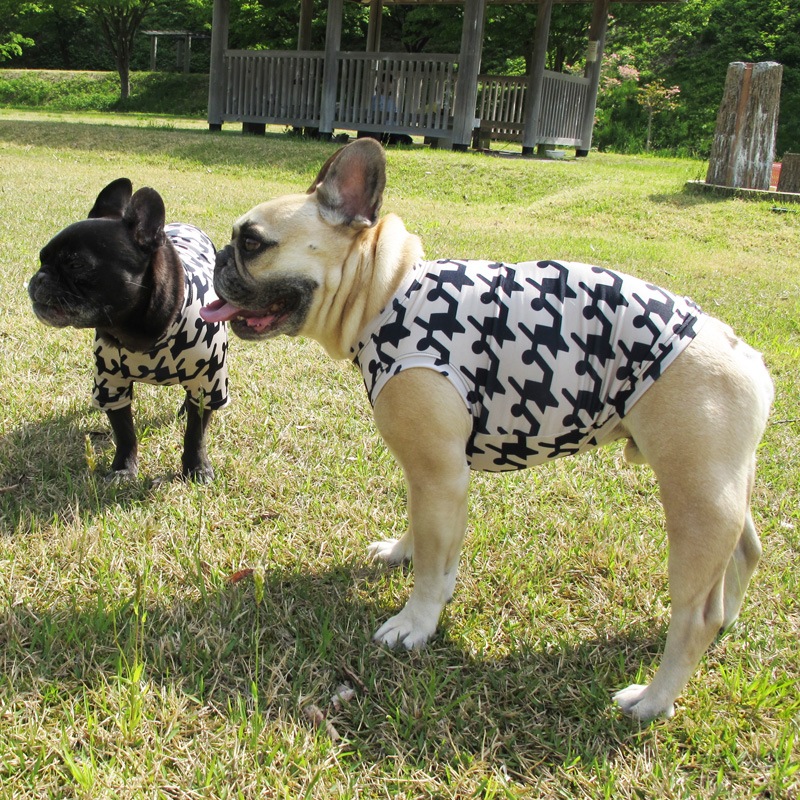 �礭���礭����Ļ���󥯥ȥåס�T�����2��or���󥯥ȥå�1���T�����1��ϥ᡼���زġ�