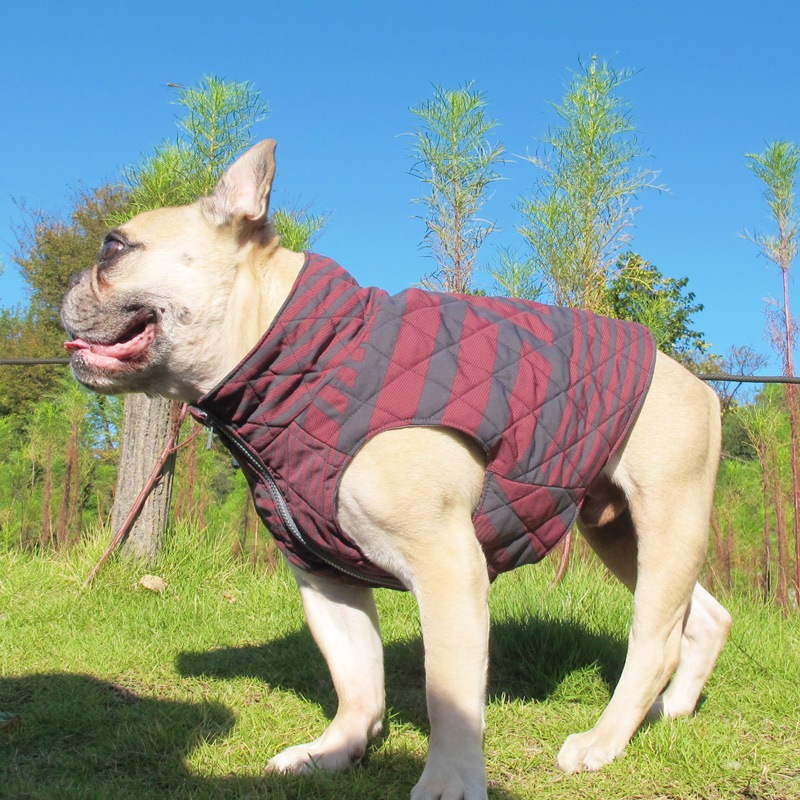 ॹȥ饤ץƥ󥰥٥ȡڰΤߥ᡼زġ