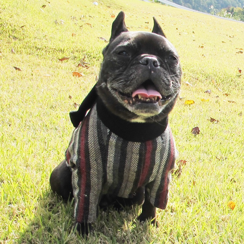 �ᥭ������ʥޥե顼���㥱�åȡڥ᡼�����Բġ�