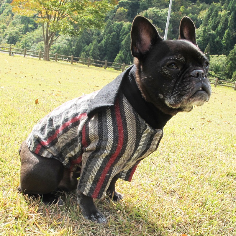 �ᥭ������ʥޥե顼���㥱�åȡڥ᡼�����Բġ�