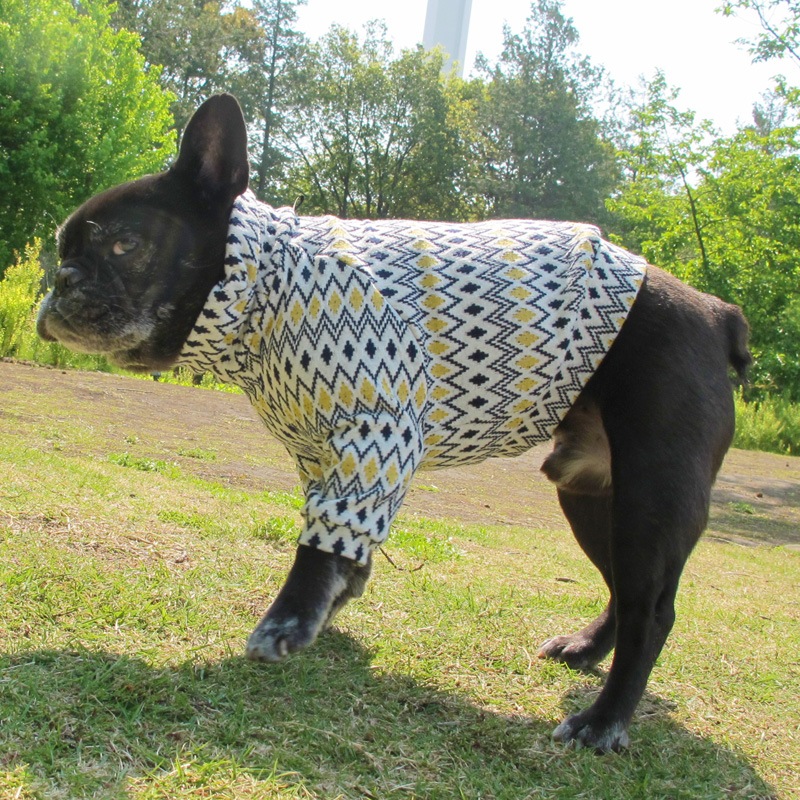 ���������ߥ�����եȥ졼�ʡ��ڰ���Τߥ᡼���زġ�