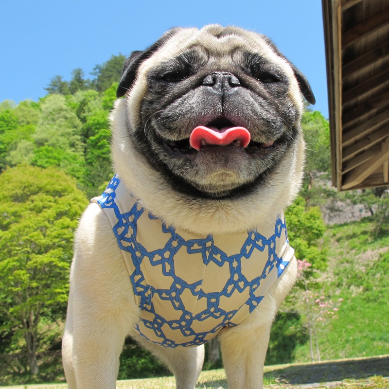 �������������󥯥ȥåס�T�����2��or���󥯥ȥå�1���T�����1��ϥ᡼���زġ�