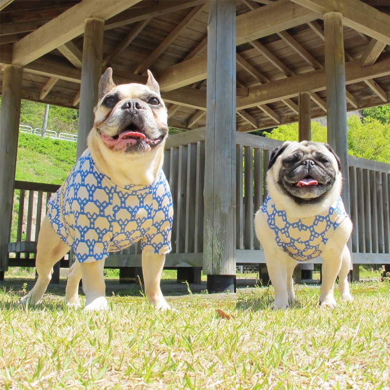 �������������󥯥ȥåס�T�����2��or���󥯥ȥå�1���T�����1��ϥ᡼���زġ�