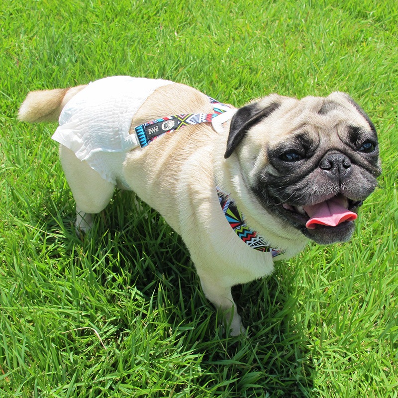 �ơ��������١��ɼ��ɼ�����������ڥ�����ڥ᡼���زġ�