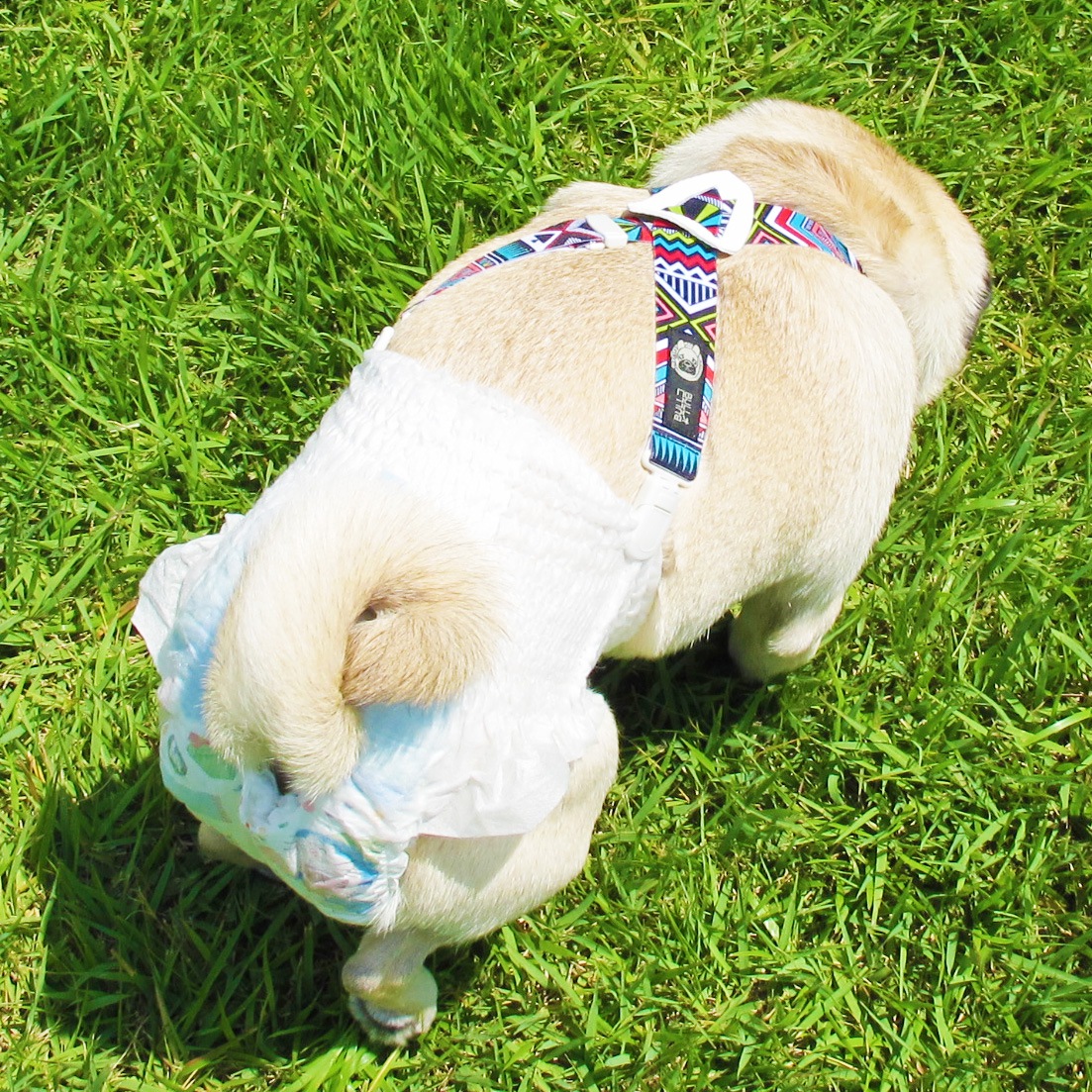 �ơ��������١��ɼ��ɼ�����������ڥ�����ڥ᡼���زġ�