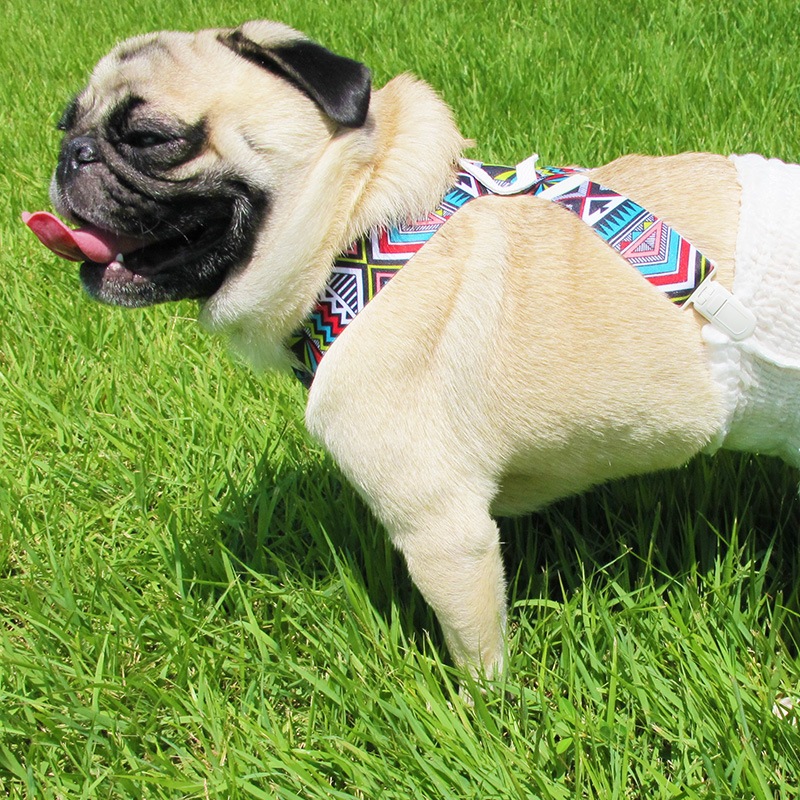 �ơ��������١��ɼ��ɼ�����������ڥ�����ڥ᡼���زġ�