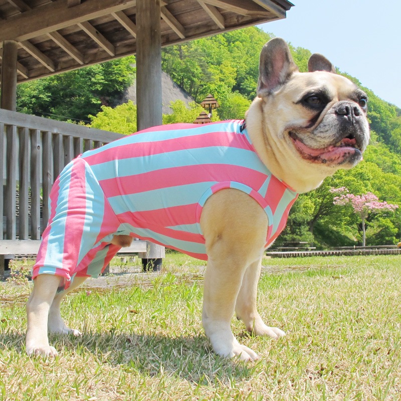 ����������Ĺ�ƤĤʤ��ڲƤĤʤ�2��or�ƤĤʤ�1���T�����(����)1��ϥ᡼���زġ�