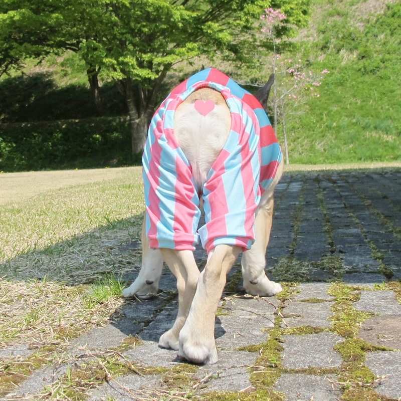 ����������Ĺ�ƤĤʤ��ڲƤĤʤ�2��or�ƤĤʤ�1���T�����(����)1��ϥ᡼���زġ�