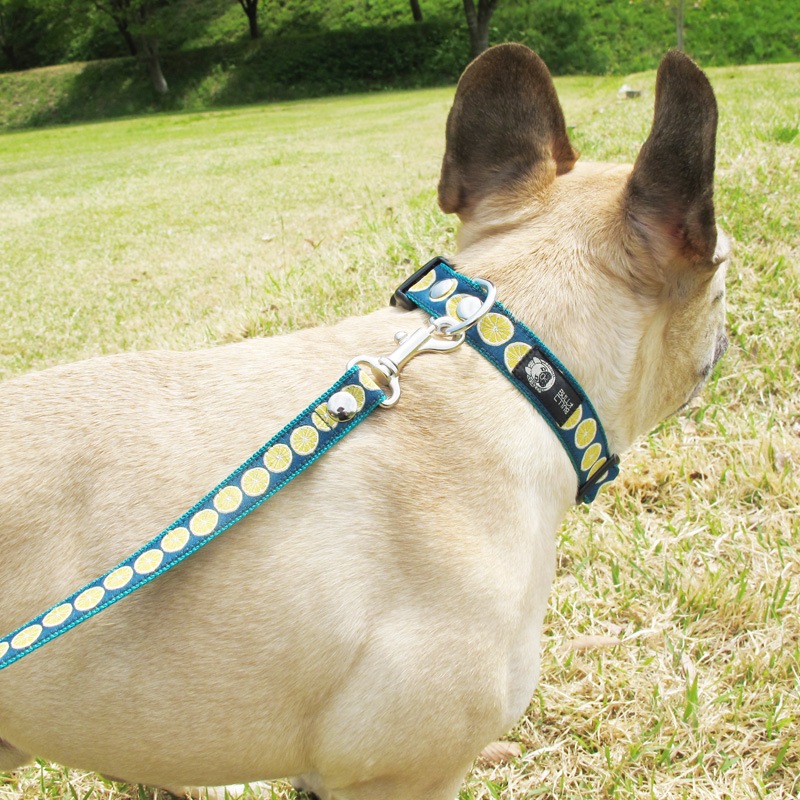 ơ١㥫ɥܥ/ءñʥ᡼ز/꡼ɤȤΥ᡼Ʊġ