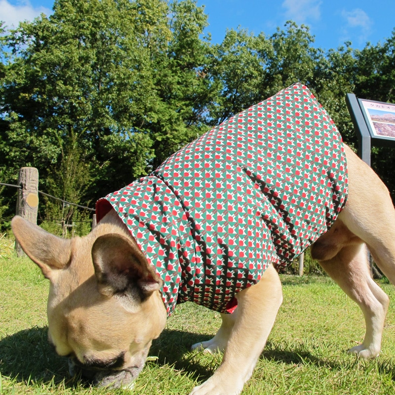 ����ߤ����������ʥ٥��ȡڰ���Τߥ᡼���زġ�