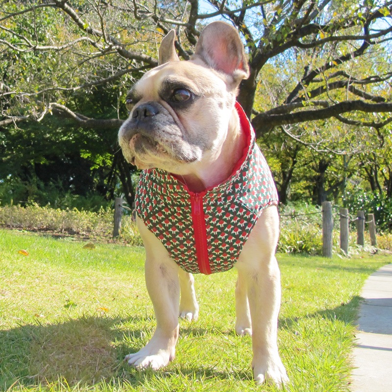 ����ߤ����������ʥ٥��ȡڰ���Τߥ᡼���زġ�