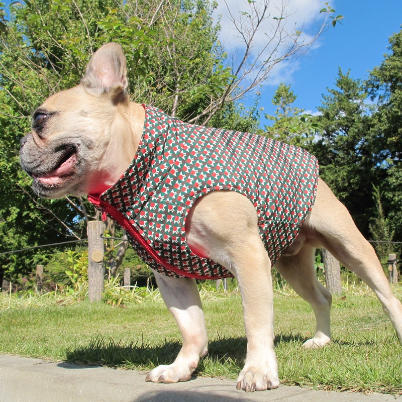 ����ߤ����������ʥ٥��ȡڰ���Τߥ᡼���زġ�