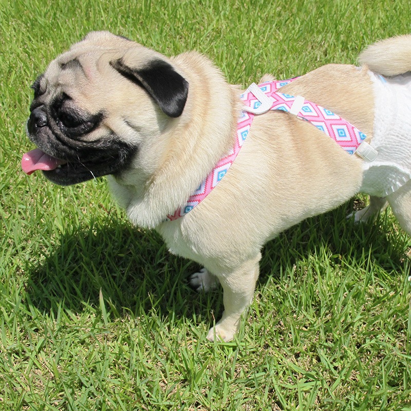 �ơ����������١��������������ڥ�����ڥ᡼���زġ�