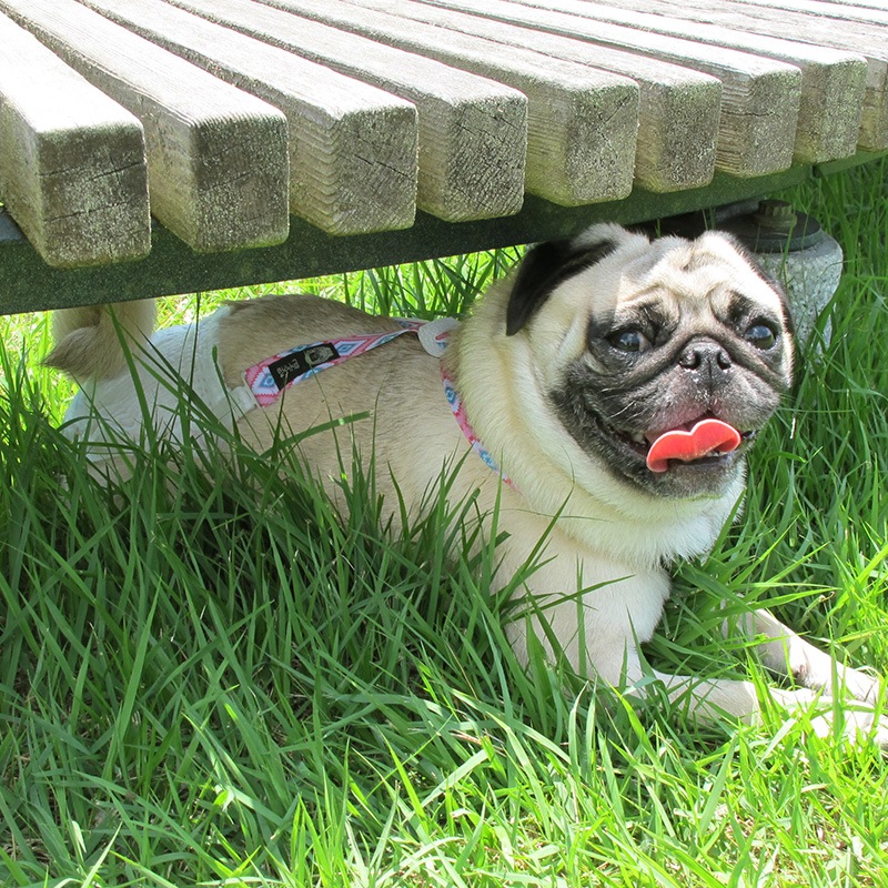 �ơ����������١��������������ڥ�����ڥ᡼���زġ�