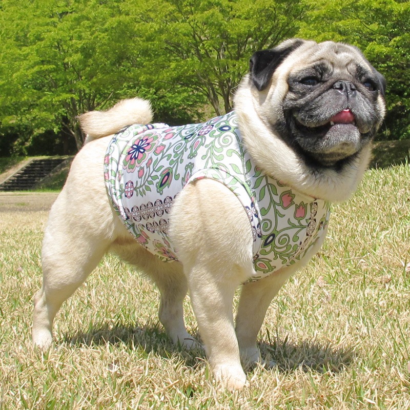 �ܥ��˥���ѥ����󥿥󥯥ȥåס�T�����2��or���󥯥ȥå�1���T�����1��ϥ᡼���زġ�