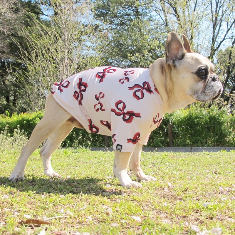 ܥTġT2or󥯥ȥå1T1ϥ᡼زġ