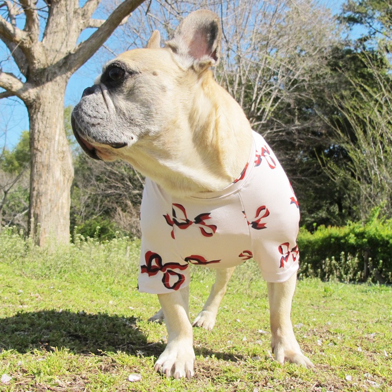 ܥTġT2or󥯥ȥå1T1ϥ᡼زġ