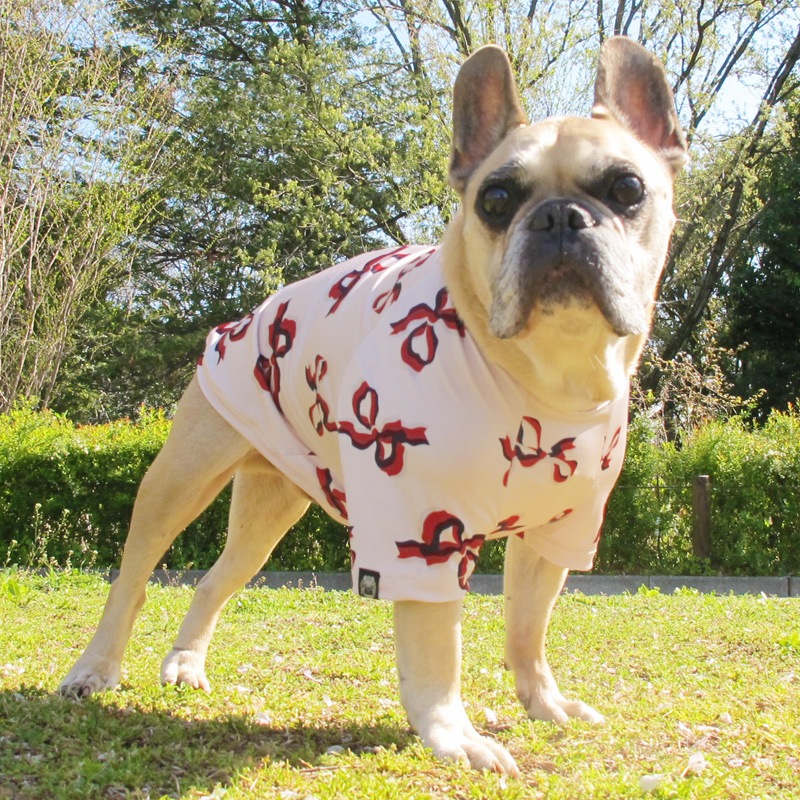 ܥTġT2or󥯥ȥå1T1ϥ᡼زġ