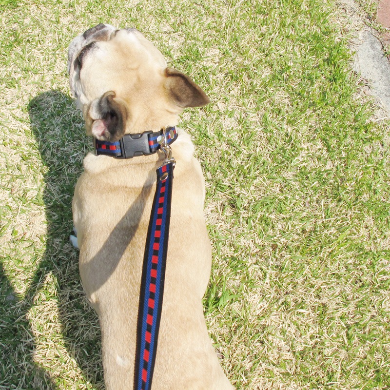 ١㥫ɥܥ/ۿϤءġˡñʥ᡼ز/꡼ɤȤΥ᡼Ʊġ