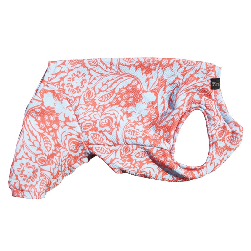 �Υ����른���ƤĤʤ��ڲƤĤʤ�2��or�ƤĤʤ�1���T�����(����)1��ϥ᡼���زġ�