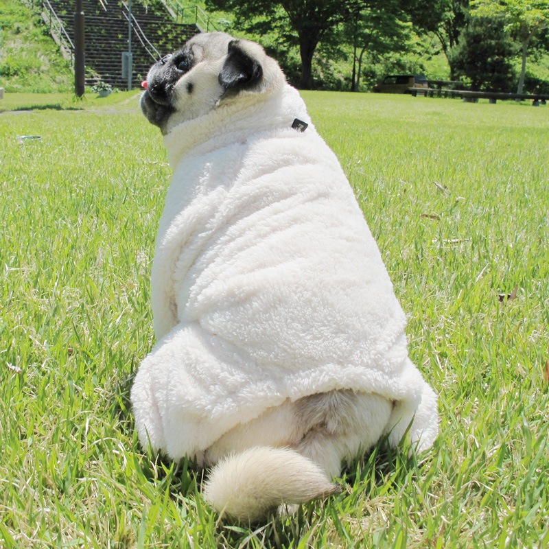 ������ۤĤʤ��ʥ��եۥ磻�ȡˡڥ᡼�����Բġ�