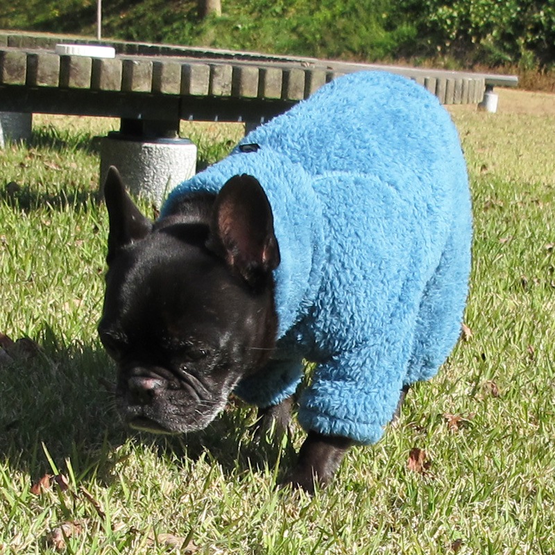 ������ۤĤʤ��ʥ���ƥ������֥롼�ˡڥ᡼�����Բġ�