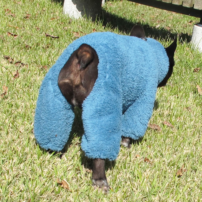 ������ۤĤʤ��ʥ���ƥ������֥롼�ˡڥ᡼�����Բġ�